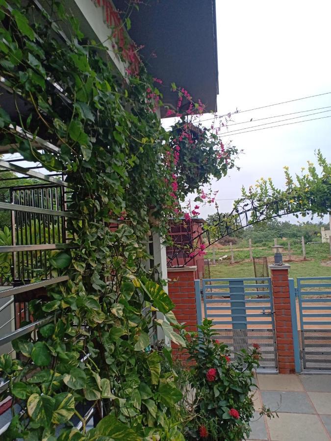 Mango Tree Homestay Hampi Eksteriør billede